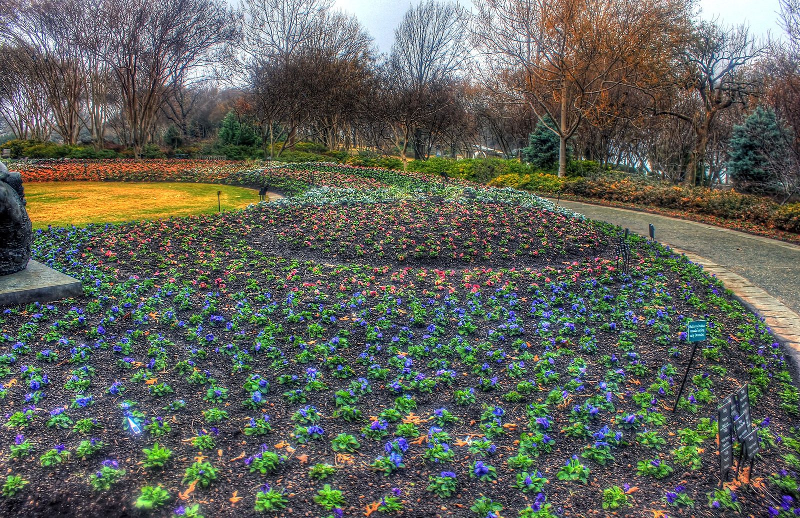 A wide flower bed in bloom at the Dallas Arboretum with trees behind