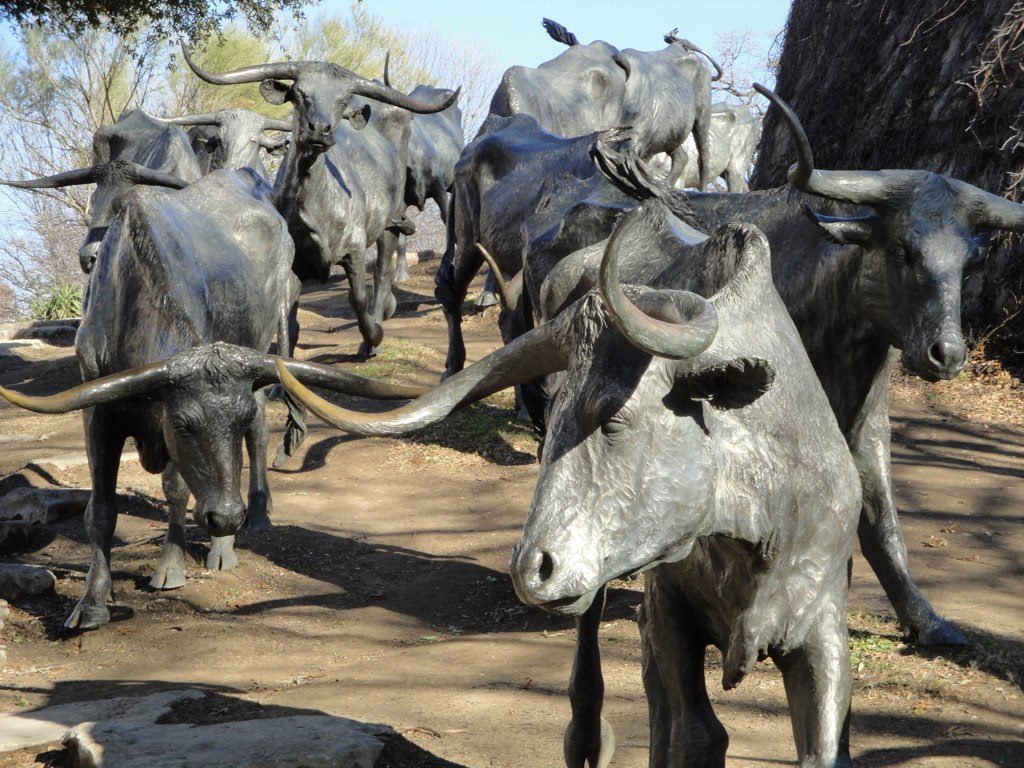 Bronze longhorn steers of the cattle drive sculpture at Pioneer Plaza in downtown Dallas
