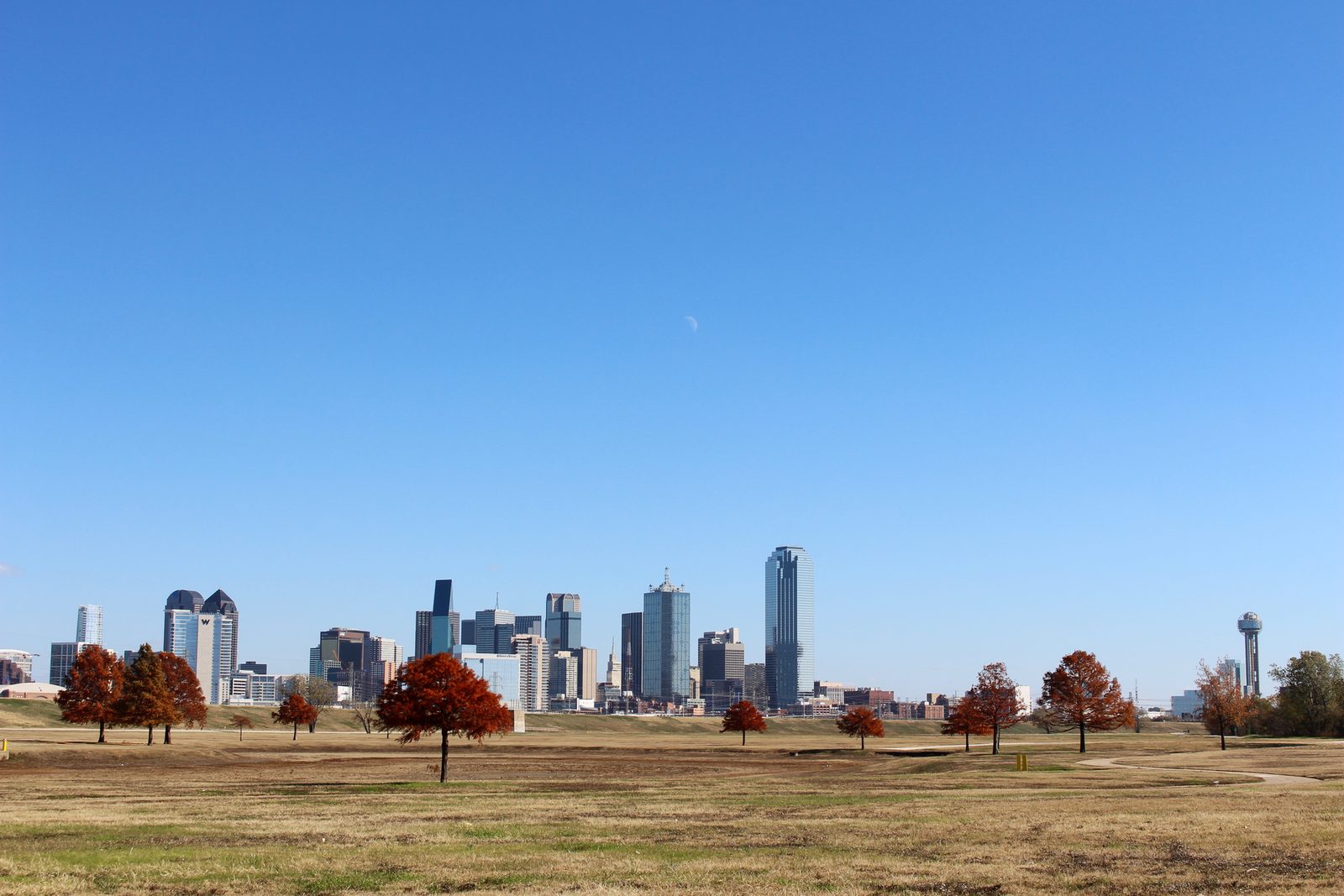 Best Time to Visit Dallas: Weather, Seasons, Events & Trip Costs