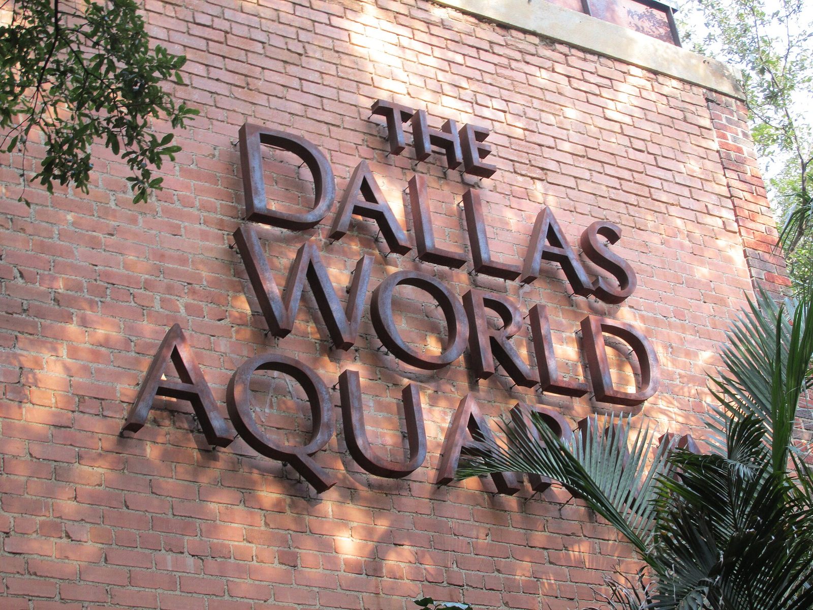 Dallas World Aquarium Visitor Guide: Tickets, Timing, Parking and What to Expect