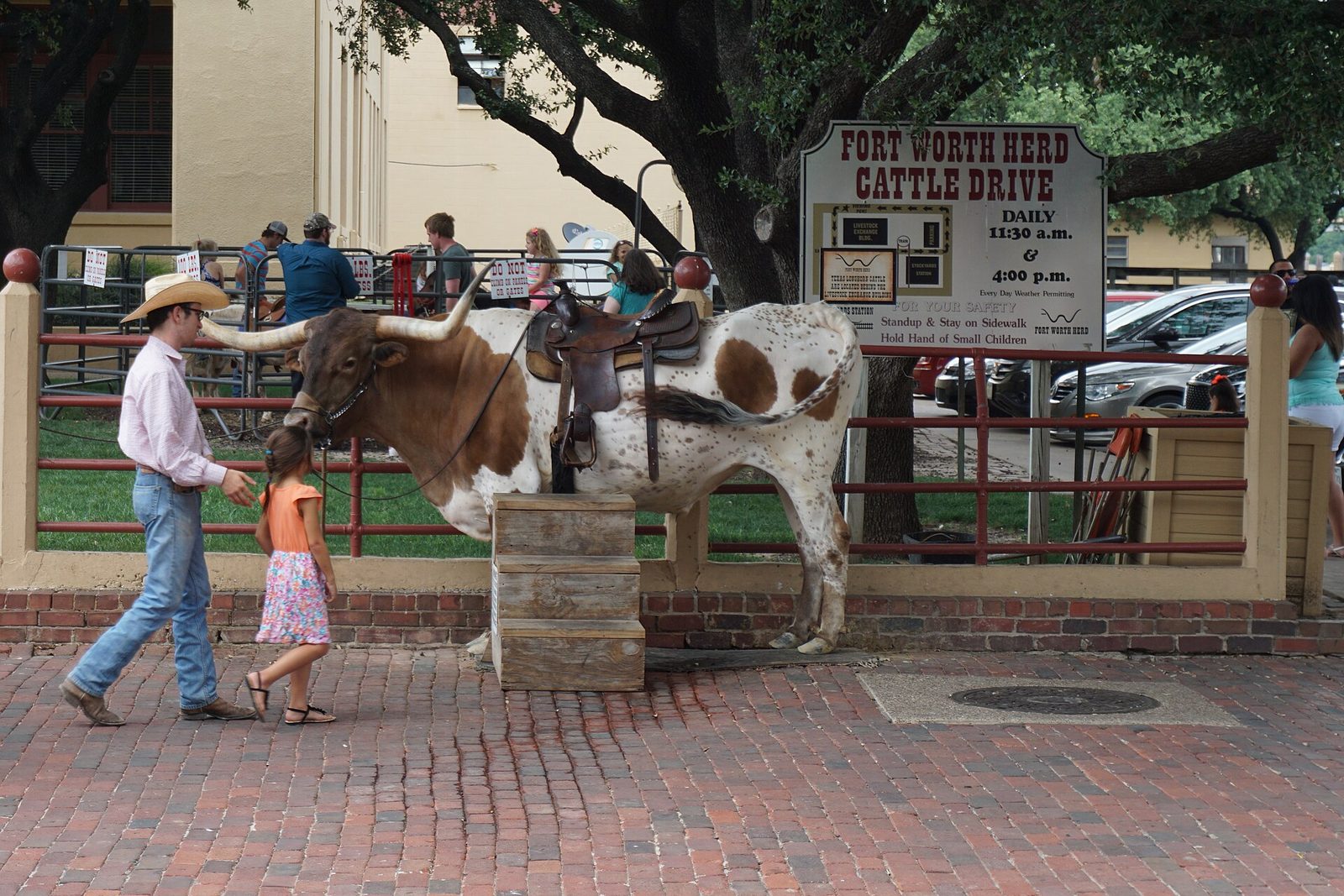 A longhorn steer and a cowboy beside the Fort Worth Herd Cattle Drive sign at the Stockyards