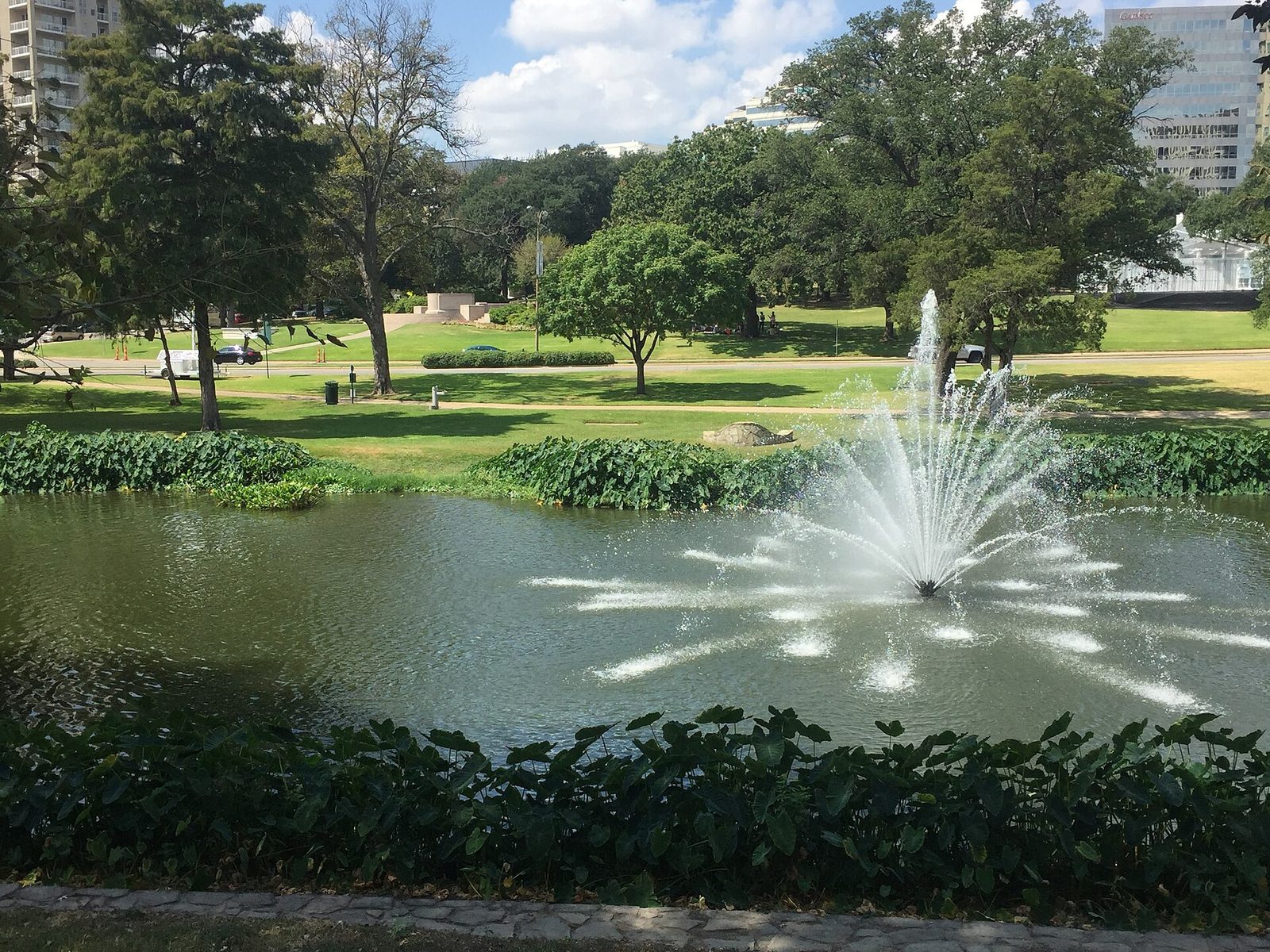 A fountain and green lawns in a shaded Dallas park