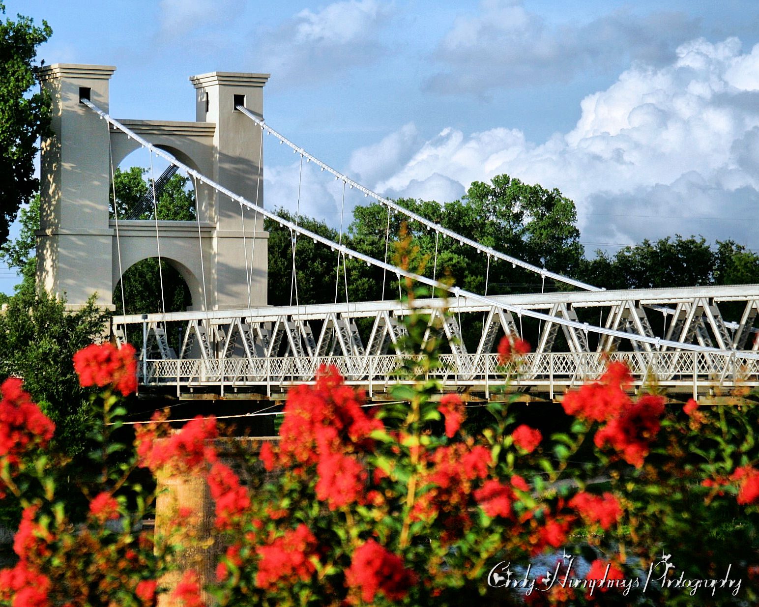 The white Waco Suspension Bridge over the Brazos River with red flowers in the foreground