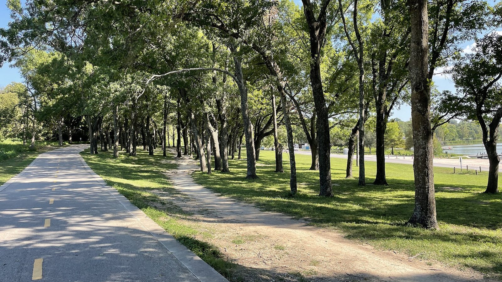 Dog-Friendly Dallas: Hotels, Parks, Patios and Trip Planning
